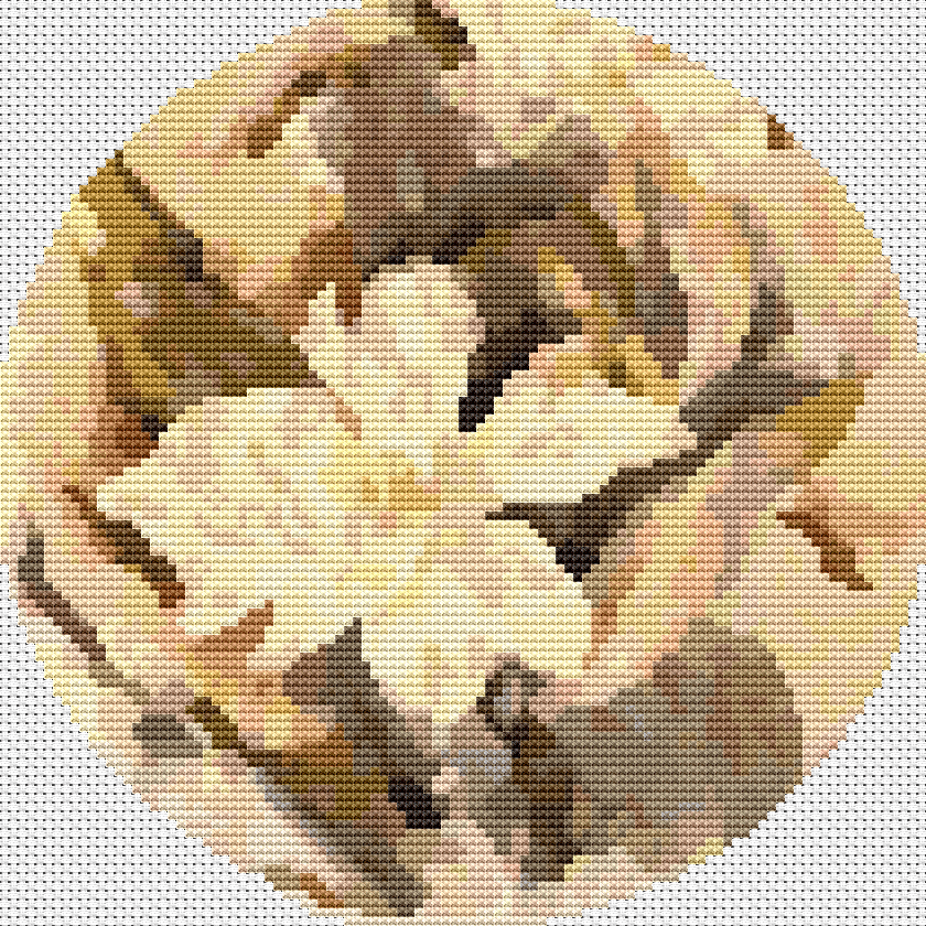 Flower Circular Cross Stitch Pattern by Charles Demuth