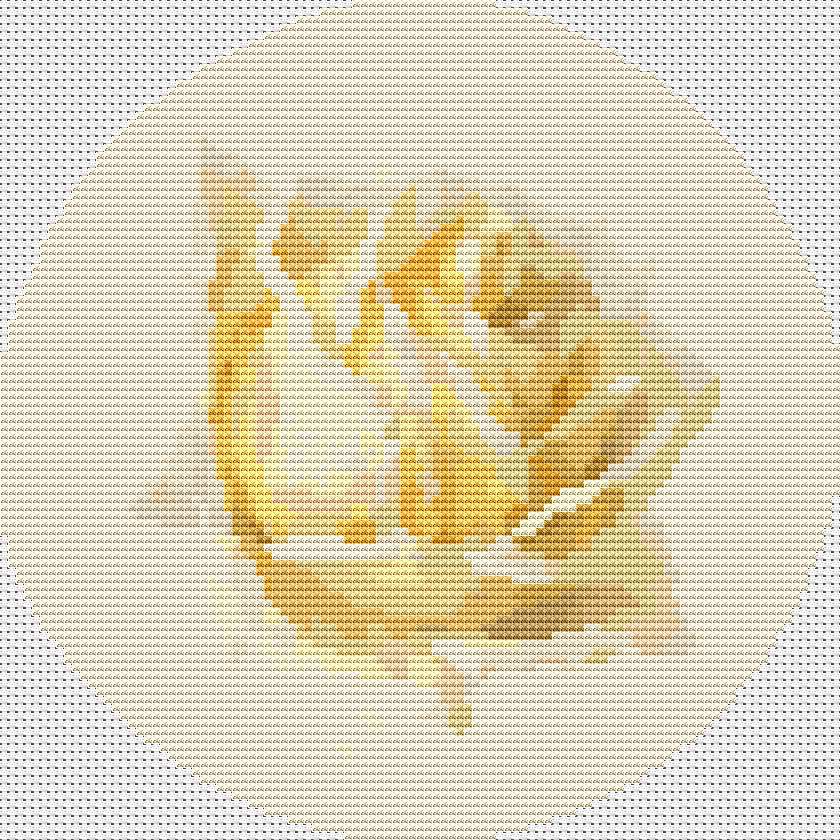 Study of a Rose Circular Cross Stitch Pattern by Paul de Longpre