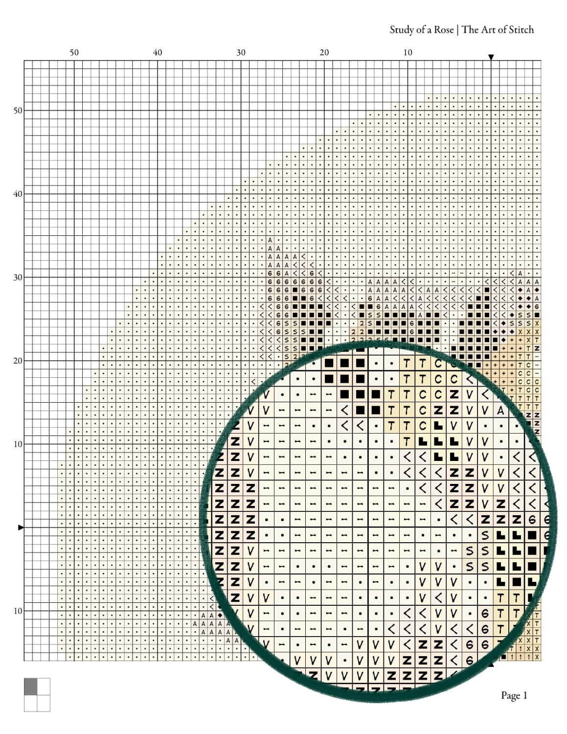 Study of a Rose Circular Cross Stitch Pattern - Circular Cross Stitch Pattern - Paul de Longpre