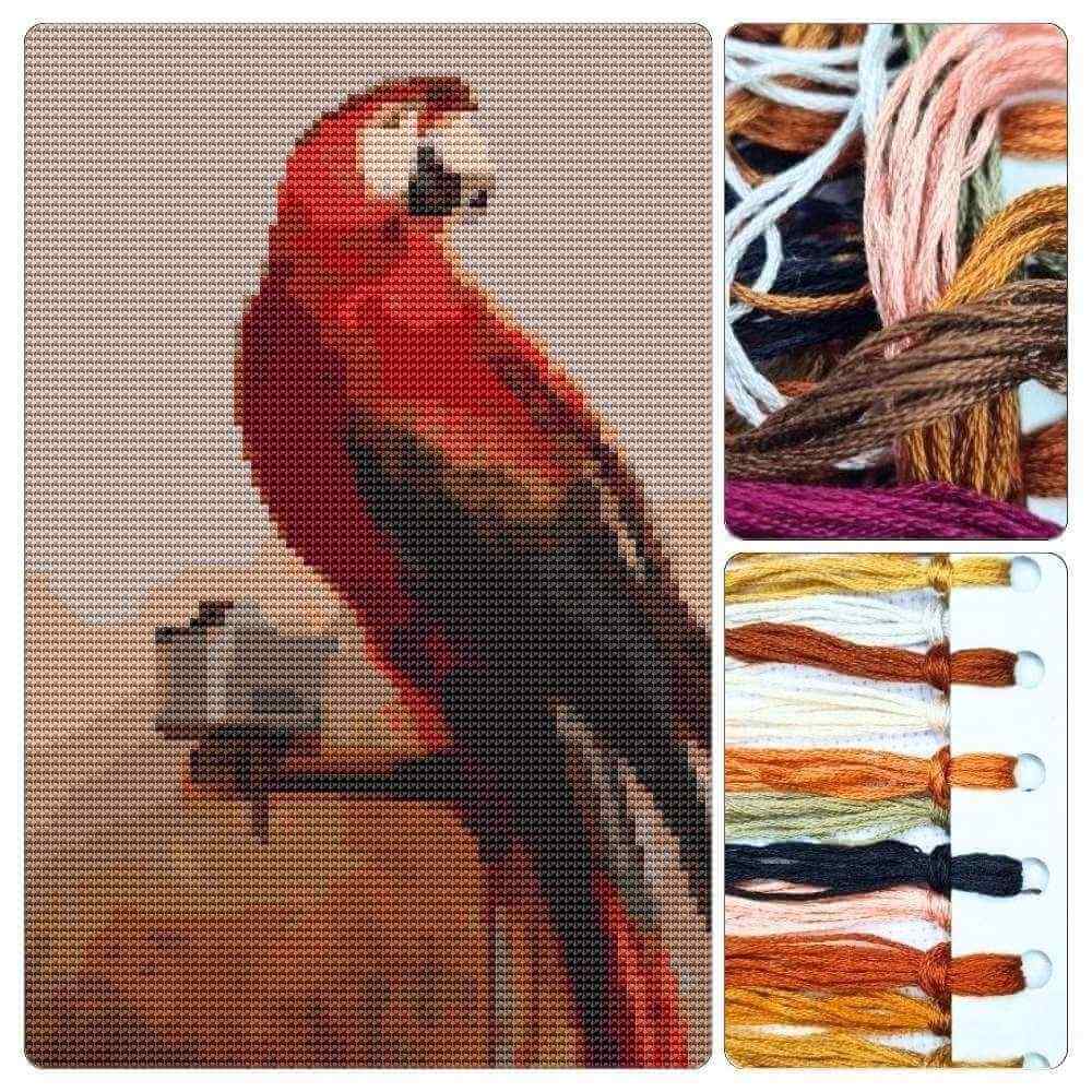 Study of a Parrot Cross Stitch Kit