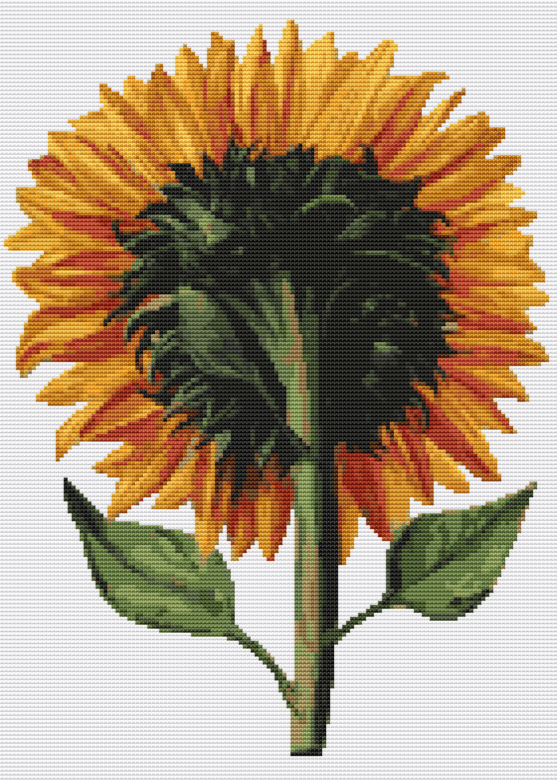Sunflower Seen from the Back Cross Stitch Pattern by Daniel Froeschl