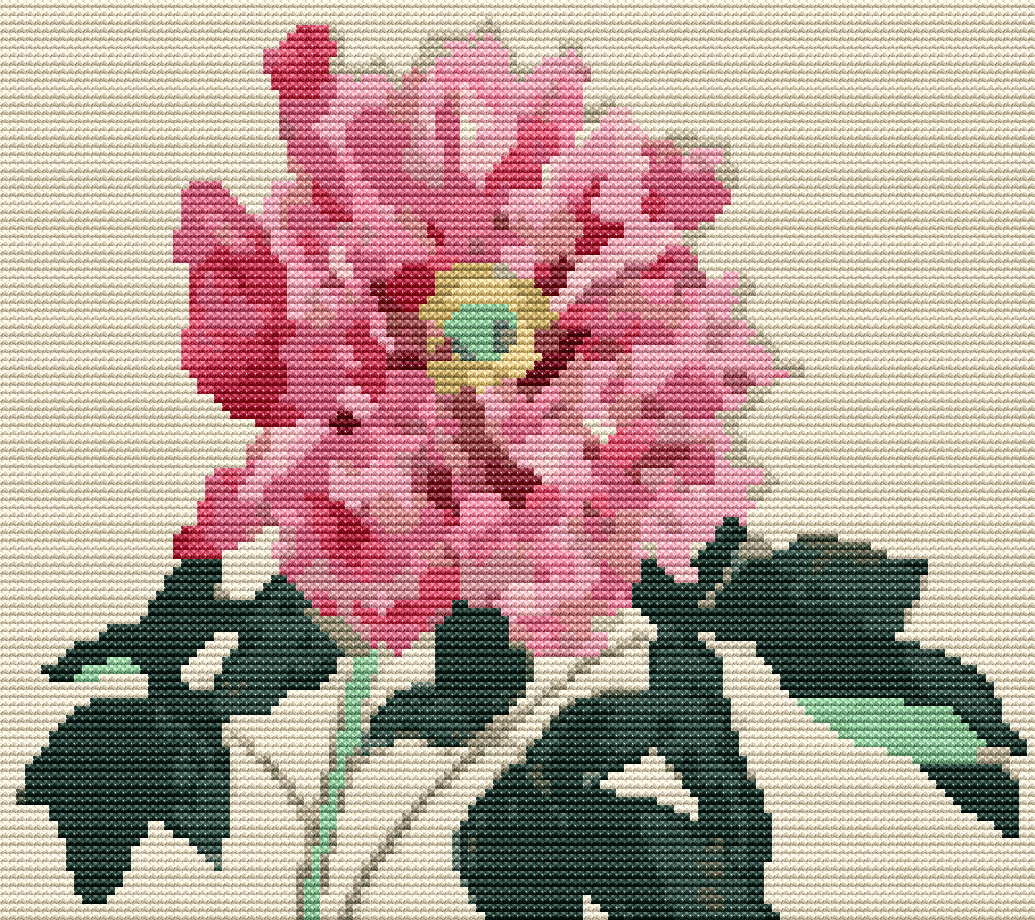 Peonies Cross Stitch Pattern by Tanigami Konan