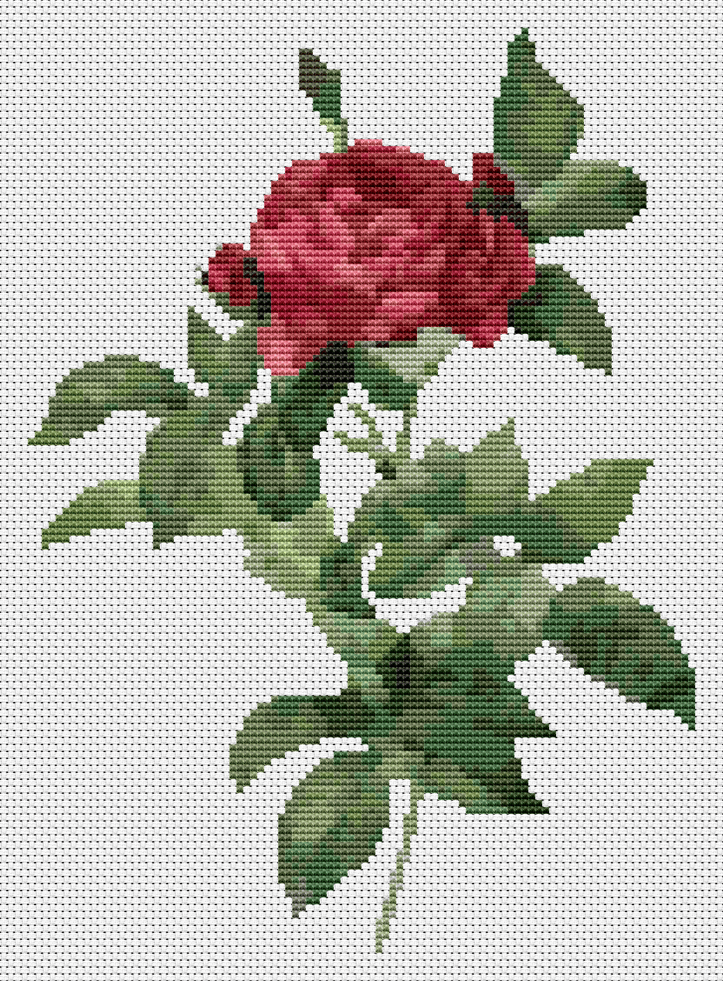Rosa Gallica Pontiana Cross Stitch Pattern by Pierre - Joseph Redouté