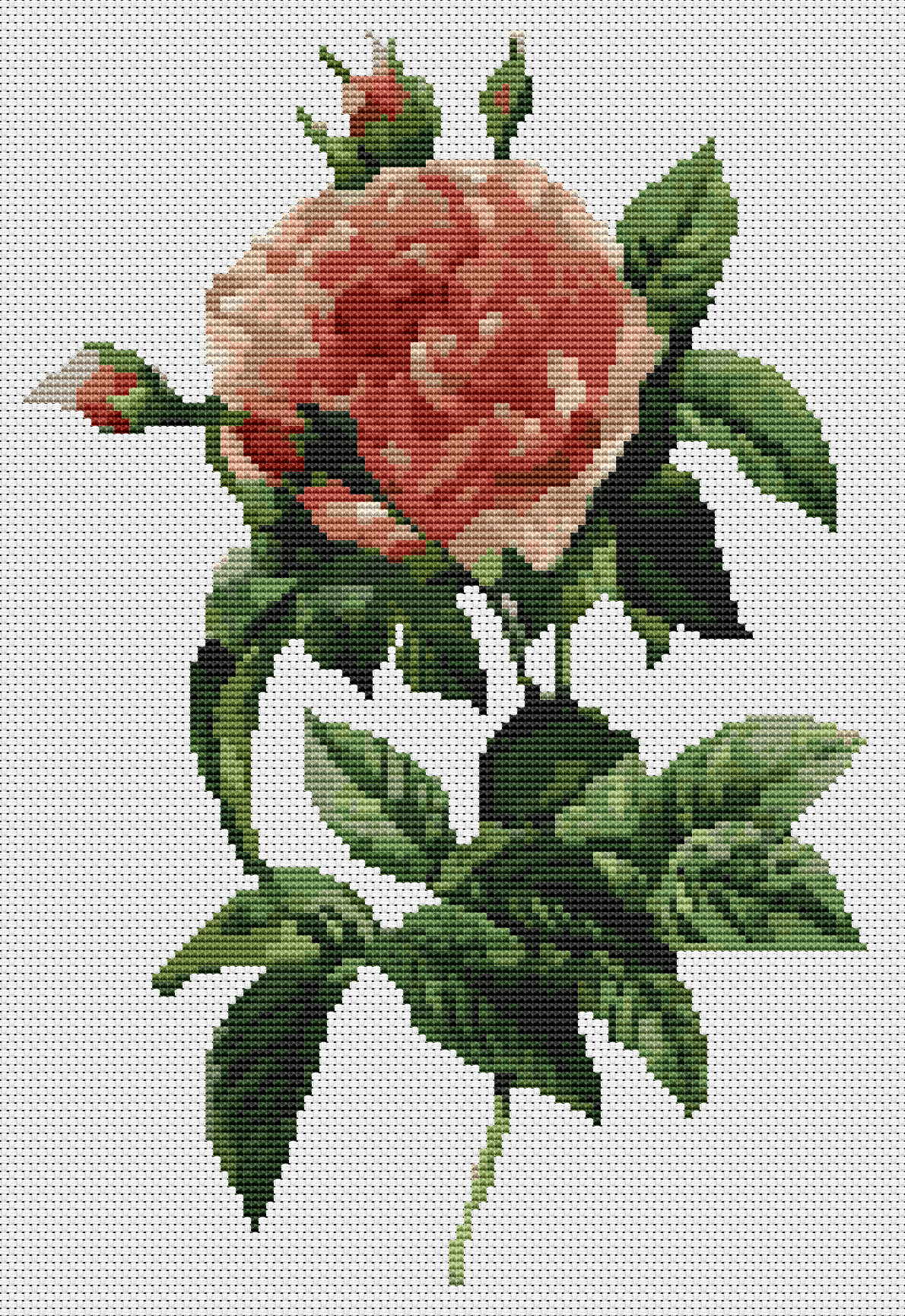 Rosa Gallica Regalis Cross Stitch Pattern by Pierre - Joseph Redouté
