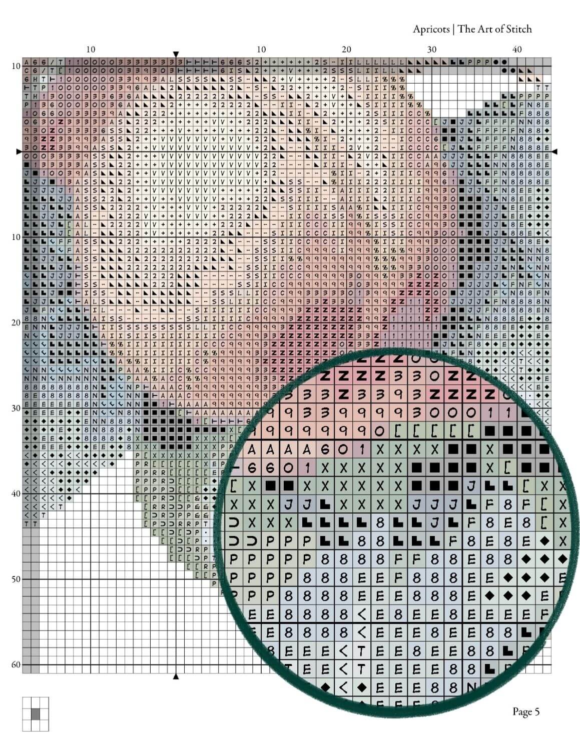 Apricots Cross Stitch Kit