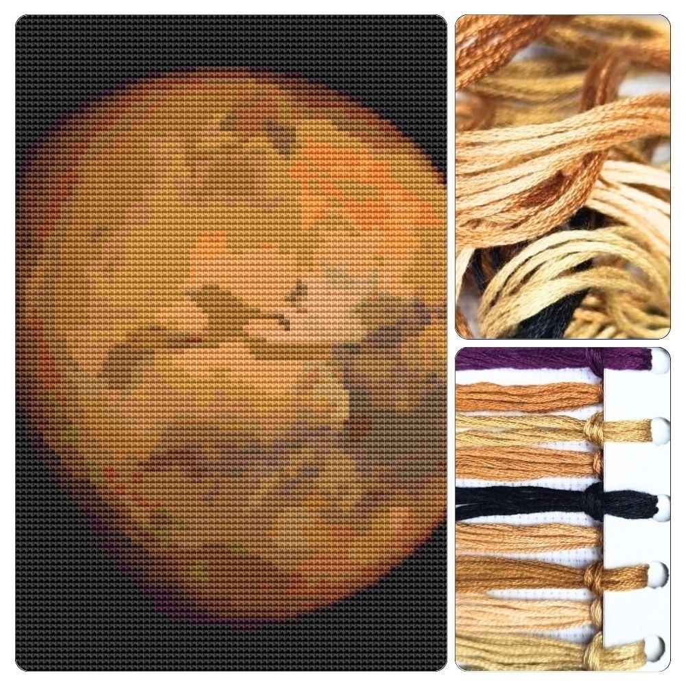 Mars Cross Stitch Kit