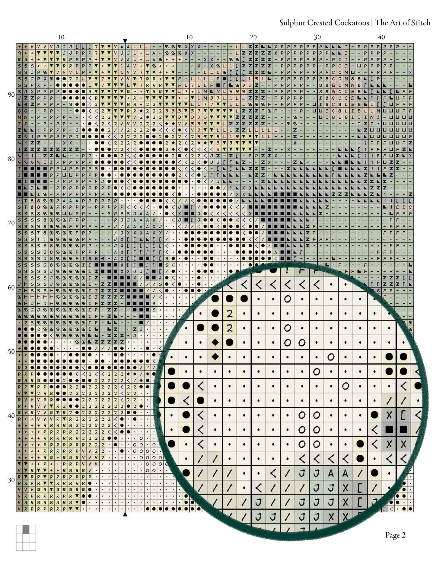 Sulphur Crested Cockatoos Cross Stitch Kit - Premium Cross Stitch Kit - Jessie Arms Botke