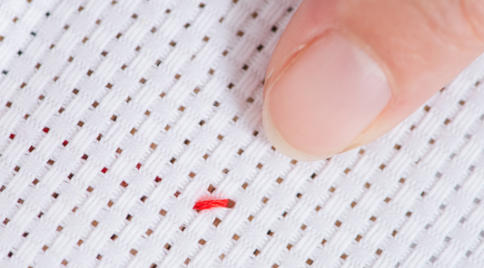 Backstitching in Cross Stitch