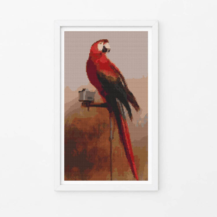 Study of a Parrot Cross Stitch Kit - Premium Cross Stitch Kit - George Cole