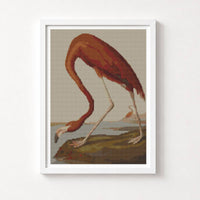 American Flamingo Cross Stitch Kit - Premium Cross Stitch Kit - John James Audubon