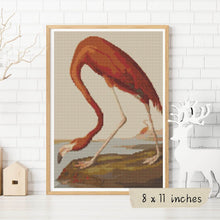 American Flamingo Cross Stitch Kit - Premium Cross Stitch Kit - John James Audubon