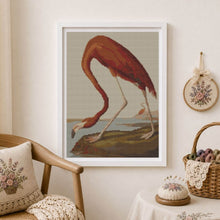 American Flamingo Cross Stitch Kit