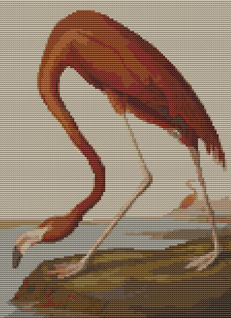 American Flamingo Cross Stitch Kit - Premium Cross Stitch Kit - John James Audubon
