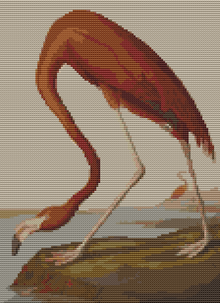 American Flamingo Cross Stitch Kit - Premium Cross Stitch Kit - John James Audubon