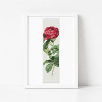 Rosa Gallica Pontiana Bookmark Cross Stitch Kit - Bookmark Cross Stitch Kit - Pierre - Joseph Redouté