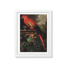 A Scarlet Macaw in a Landscape Cross Stitch Kit | Jakob Bogdany