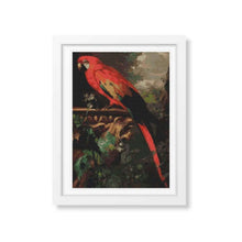 A Scarlet Macaw in a Landscape Cross Stitch Pattern | Jakob Bogdany