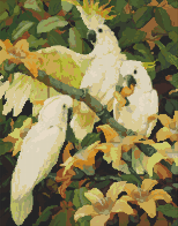 Sulphur Crested Cockatoos Cross Stitch Pattern | Size: 11 x 14 inches | Jessie Arms Botke