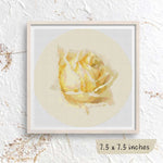 Study of a Rose Circular Cross Stitch Pattern