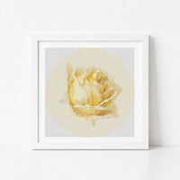Study of a Rose Circular Cross Stitch Kit - Circular Cross Stitch Kit - Paul de Longpre