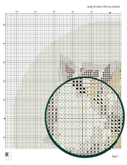 Study of a Rose Circular Cross Stitch Pattern - Circular Cross Stitch Pattern - Paul de Longpre