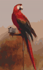 Study of a Parrot Cross Stitch Pattern by George Cole