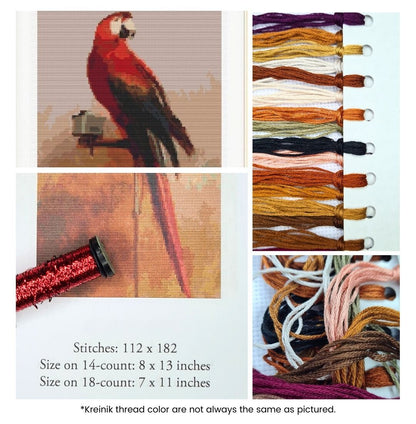 Study of a Parrot Cross Stitch Kit | George Cole