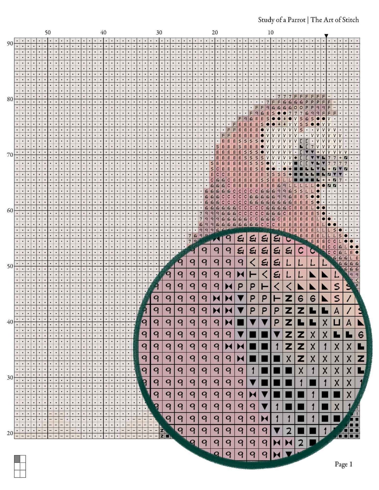 Study of a Parrot Cross Stitch Pattern - Premium Cross Stitch Pattern - George Cole