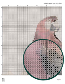 Study of a Parrot Cross Stitch Pattern - Premium Cross Stitch Pattern - George Cole