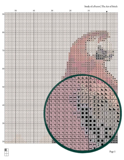 Study of a Parrot Cross Stitch Pattern - Premium Cross Stitch Pattern - George Cole