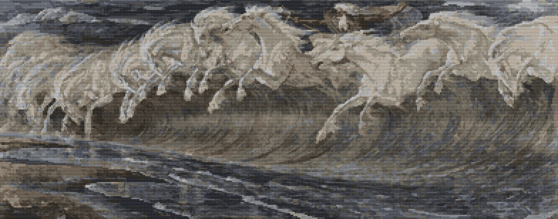 Horses of Neptune Cross Stitch Pattern by Walter Crane