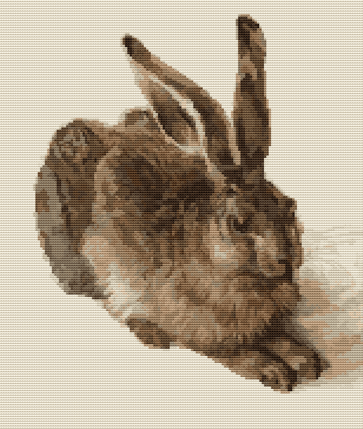 The Young Hare Cross Stitch Kit | Albrecht Durer