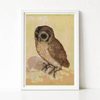The Brown Owl Cross Stitch Kit - Premium Cross Stitch Kit - Albrecht Durer