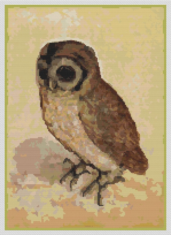 Owl cross stitch kit
