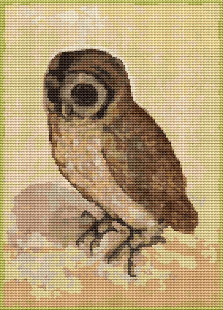 The Brown Owl Cross Stitch Pattern by Albrecht Durer