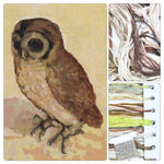 The Brown Owl Cross Stitch Kit