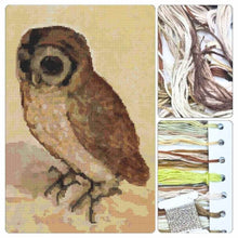 The Brown Owl Cross Stitch Kit - Premium Cross Stitch Kit - Albrecht Durer