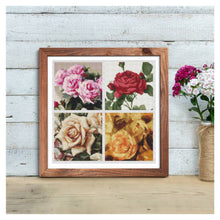 Four Squares featuring Roses Cross Stitch Kit | Size: 5 x 5 inches per square | The Art of Stitch