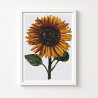 Sunflower Cross Stitch Kit - Premium Cross Stitch Kit - Daniel Froeschl