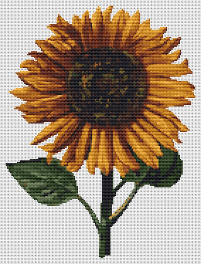 Sunflower Cross Stitch Kit | Daniel Froeschl