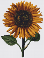 Sunflower Cross Stitch Pattern by Daniel Froeschl