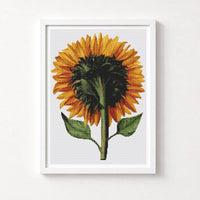 Sunflower Seen from the Back Cross Stitch Kit - Premium Cross Stitch Kit - Daniel Froeschl