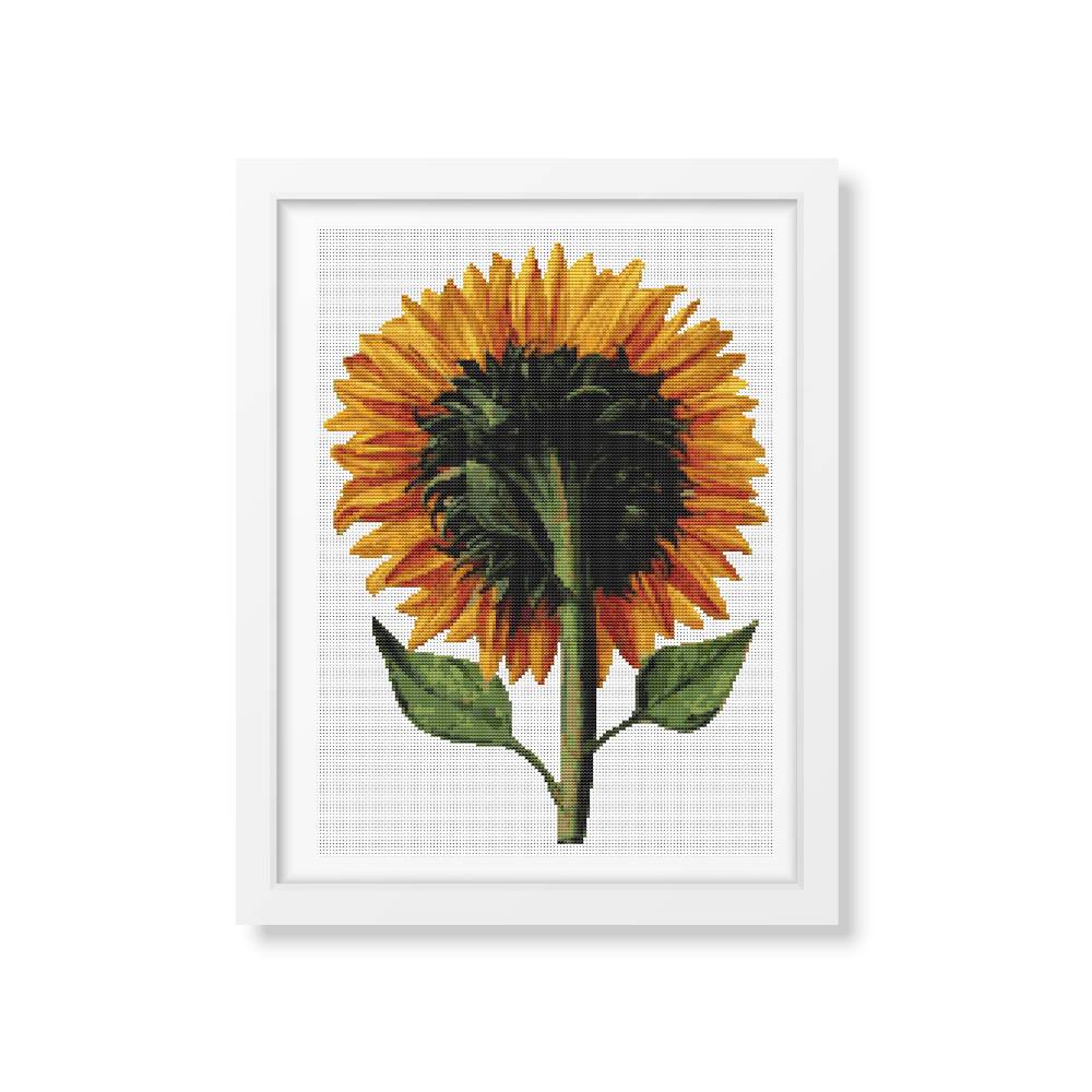 Sunflower Seen from the Back Cross Stitch Pattern | Daniel Froeschl