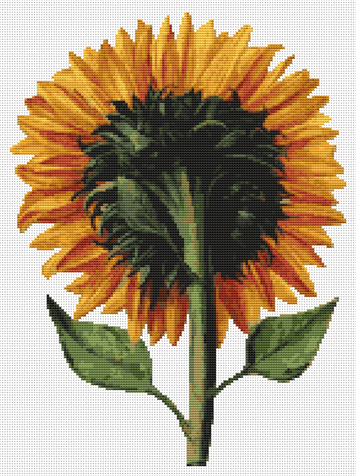 Sunflower Seen from the Back Cross Stitch Kit | Daniel Froeschl