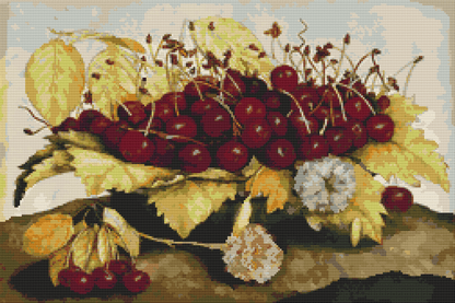 A Dish Of Cherries And Carnation Cross Stitch Pattern | Giovanna Garzoni