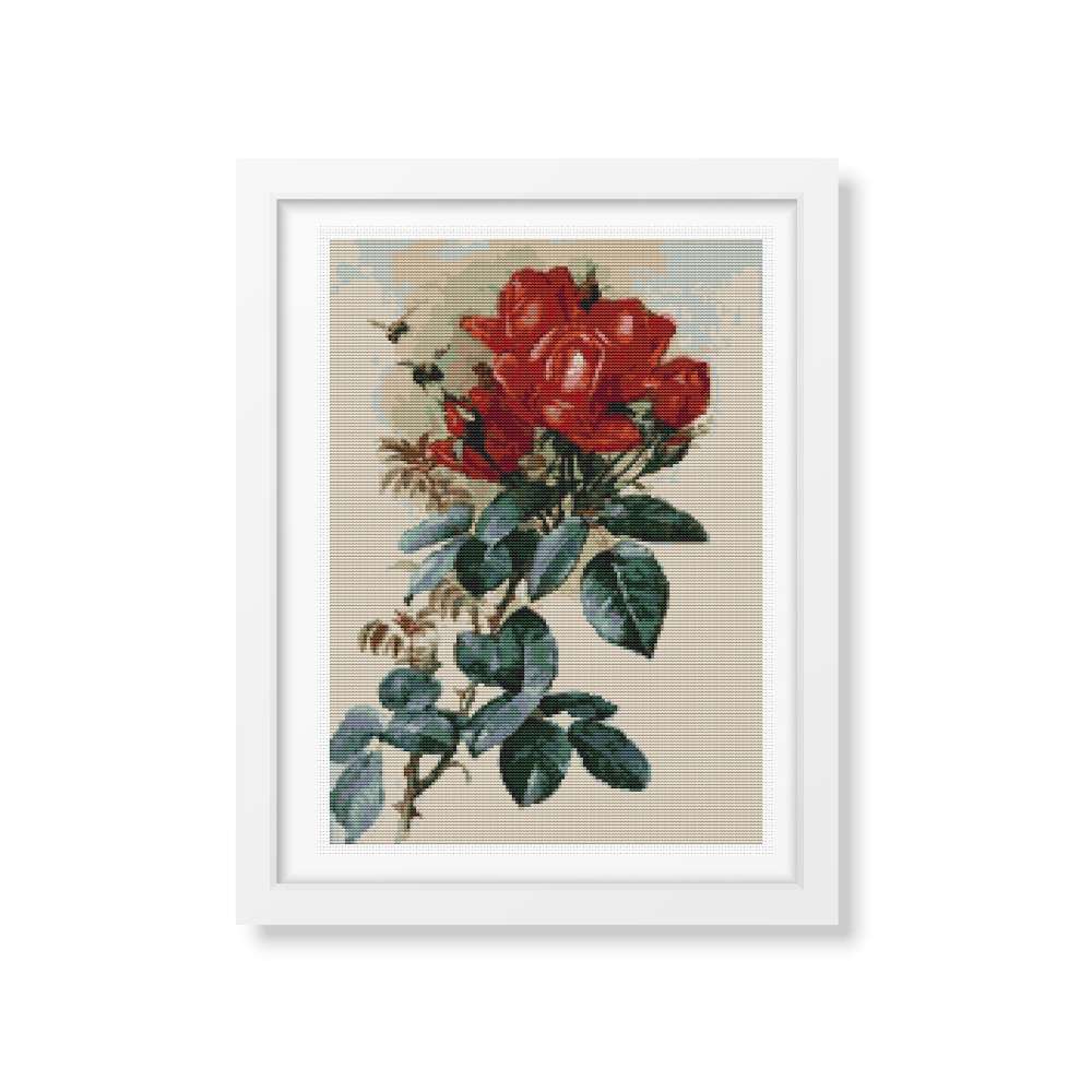 Roses Cross Stitch Kit | Paul de Longpre