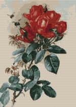 Papa Gontier Roses Cross Stitch Pattern by Raoul de Longpre
