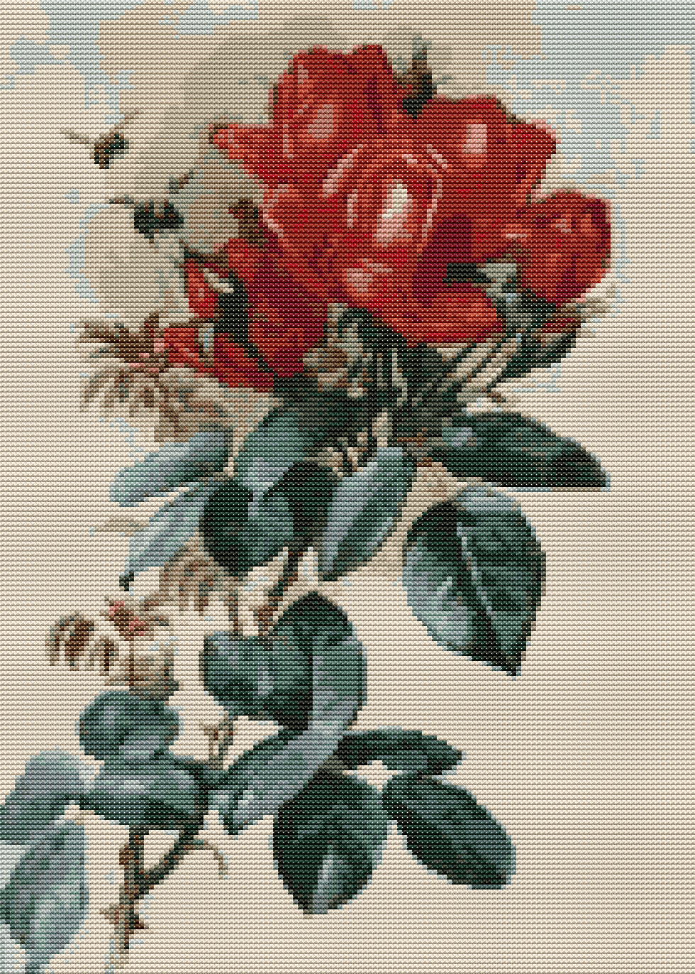 Papa Gontier Roses Cross Stitch Pattern by Raoul de Longpre