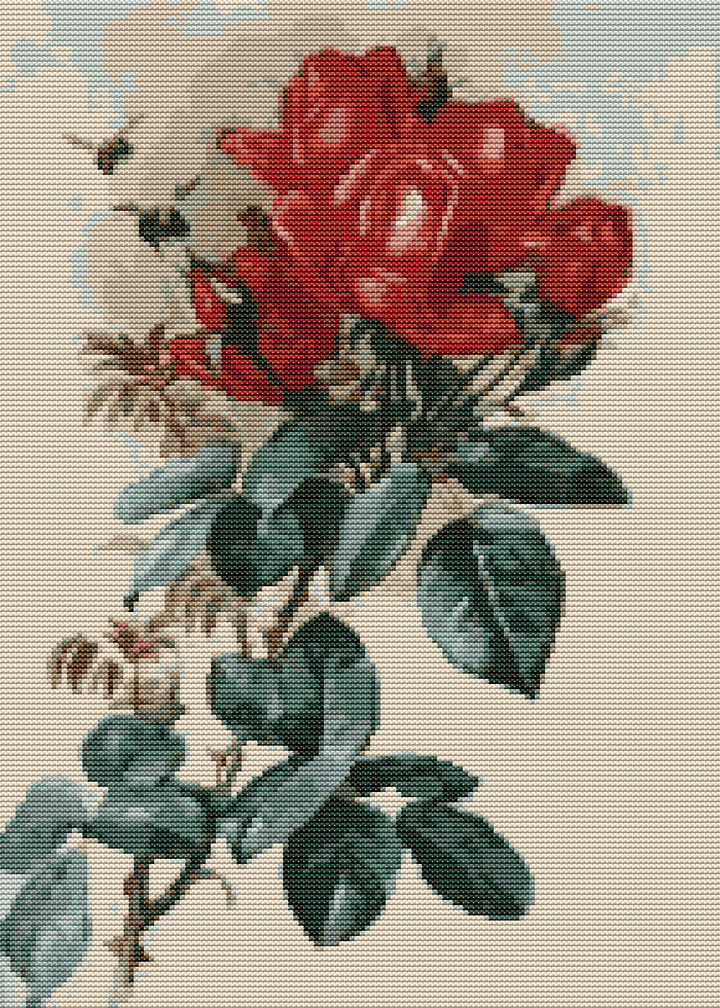Papa Gontier Roses Cross Stitch Kit - Premium Cross Stitch Kit - Raoul de Longpre