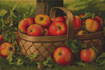 Apples in a Basket Cross Stitch Kit by Levi Wells Prentice